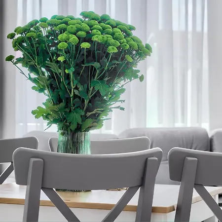 Apartmanhotel 1899 Szczecin